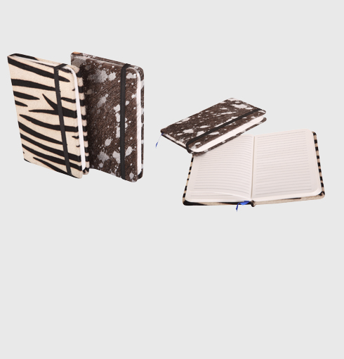 Diary Cover
