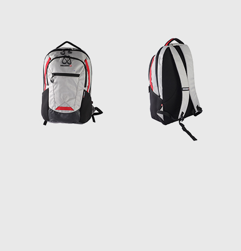 The Everyday Backpack